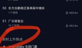 抖音短视频创作秘籍：如何提升观看率与互动性？
