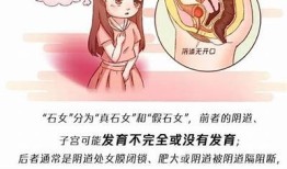 姓石女主抖阴：揭示背后的故事与魅力