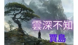 此抖阴非彼抖阴：探索最新版的独有魅力与创新功能