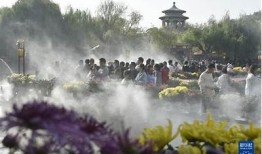 不要抖阴视频破解的方法与安全性调查