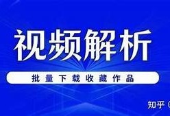 抖阴视频下载教程：轻松获取精彩短视频的方法
