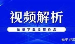 抖阴视频下载教程：轻松获取精彩短视频的方法