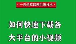 如何轻松下载抖音小视频：简单实用方法分享