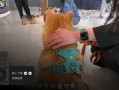 在线看抖音短视频：畅享精彩内容与热门潮流