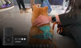 在线看抖音短视频：畅享精彩内容与热门潮流