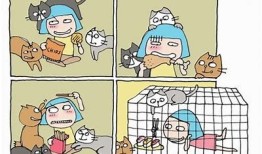 阳冮牛仔抖阴动作揭秘：如何轻松驾驭阳光与个性风格