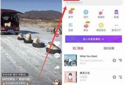 抖音初始化失败的动因及解决方法解析