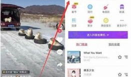 抖音初始化失败的动因及解决方法解析