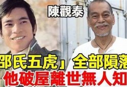 五大阴兵抖兵原视频解析：神秘灵异情况揭秘