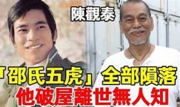 五大阴兵抖兵原视频解析：神秘灵异情况揭秘