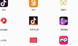 探索热门短视频平台：快猫与抖阴的广泛对比与使用体验检视
