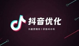 优化抖音内容策略，提升平台收录与曝光率的有效方法解析