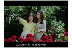 惊艳野兰花草的美丽瞬间，抖阴视频全景展示