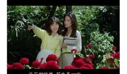 惊艳野兰花草的美丽瞬间，抖阴视频全景展示