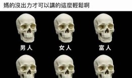 抖阴v9o8：探索新一代社交娱乐平台的魅力与功能