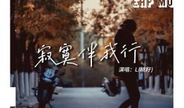 寂寞的路上，哪首歌能陪伴你度过孤独时光？