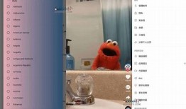 抖音国际版破解版下载：无广告畅享社交乐趣，网盘资源分享