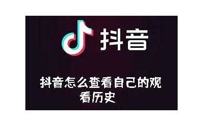 抖阴TV App旧版本账户信息查找与使用技巧分享