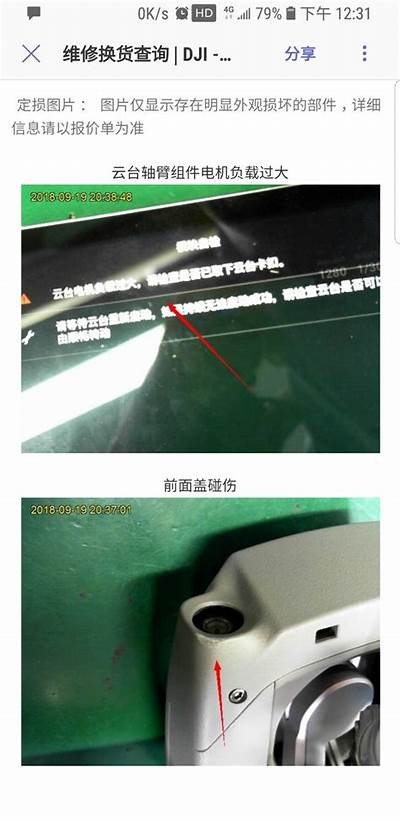 提升抖阴优化技巧，助力DJI 8CN更好收录与排名