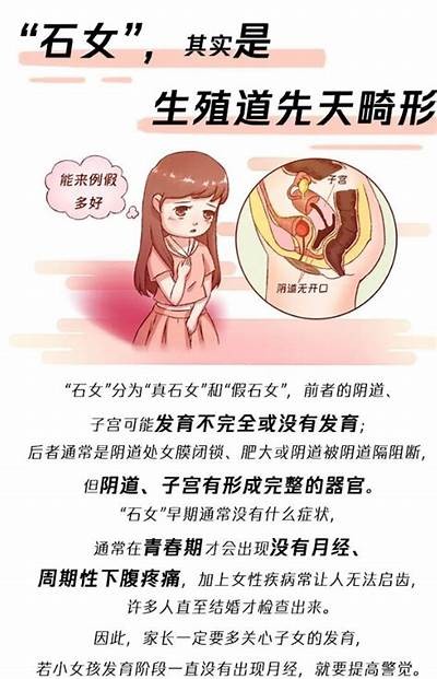 姓石女主抖阴：揭示背后的故事与魅力