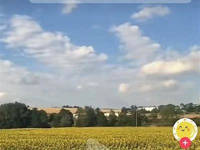 如何快速下载抖阴小视频，轻松保存精彩瞬间