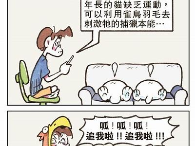 猫咪快喵抖阴：揭秘猫咪的搞笑日常与撒娇技巧