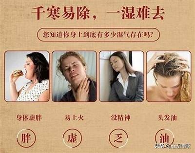 有效去除寒湿，轻松打造健康生活方式的实用指南