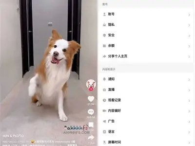 2023年国际版抖阴下载：安全快捷的获取方法与使用指南