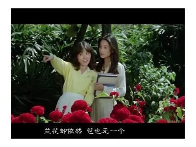 惊艳野兰花草的美丽瞬间，抖阴视频全景展示