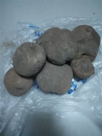 探索土豆的魅力：从健康饮食到美味菜肴的全方位指南