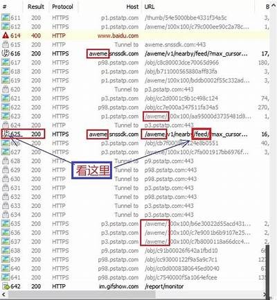 iOS抓包抖音技巧，全方位解析运用统计