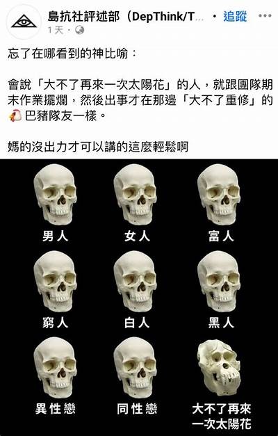 抖阴v9o8：探索新一代社交娱乐平台的魅力与功能