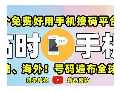 高效抖阴手机验证码平台，保障安全与速度的最佳选择