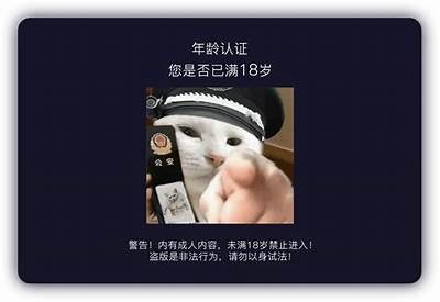 47抖阴大湿：揭秘抖音背后的潮流与方向