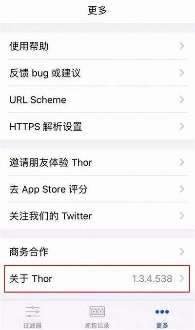 抖音视频破解技巧：轻松掌握Thor功能使用指南