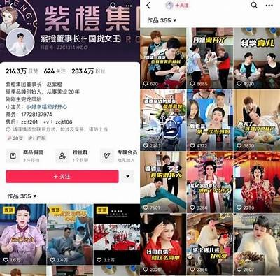 推荐几款与抖音相似的短视频使用，轻松创作分享精彩时刻