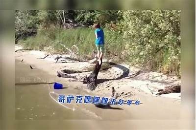 精彩抖阴污段视频合集，笑点与惊喜齐飞，快来围观！