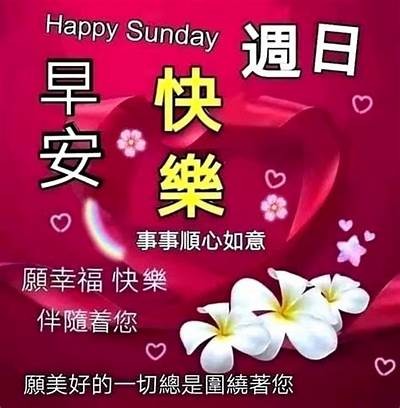 打造美好生活，从健康习惯到快乐心态，广泛提升你的生活品质！