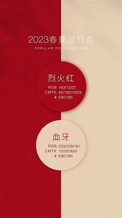 抖因TV官方下载：探索不一样的短视频体验，告别传统抖音