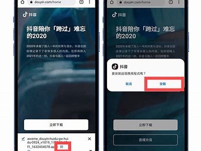 抖音最新破解版本下载：畅享无广告使用体验的最佳选择