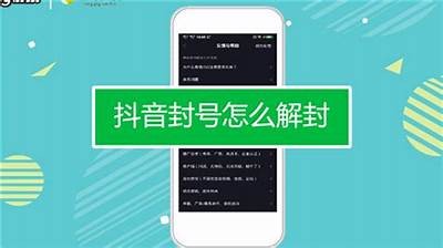 如何破解抖音猫咪盒子？详细教程与实用技巧分享