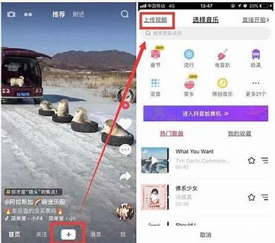 抖音无法打开的根本原因及解决办法，轻松解决你的困扰