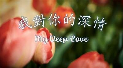 你真的爱我吗？深情抖音视频带你感受爱情的心跳