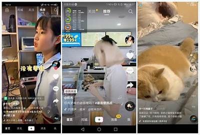 抖音精彩短视频合集免费在线观看，尽享趣味生活片段