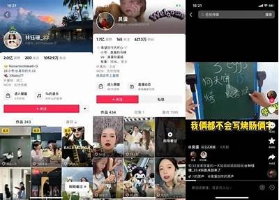 抖音会员共享平台揭秘，轻松享受优质内容与特权