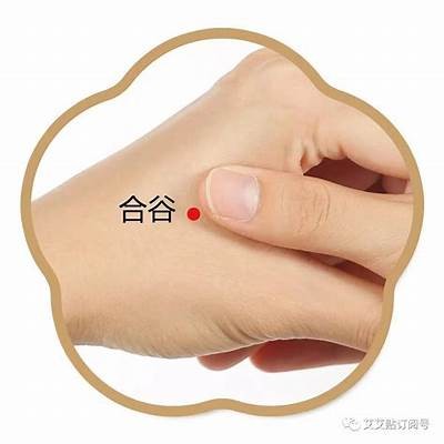 负阴抱阳：探秘内心平衡与积极能量的完美结合