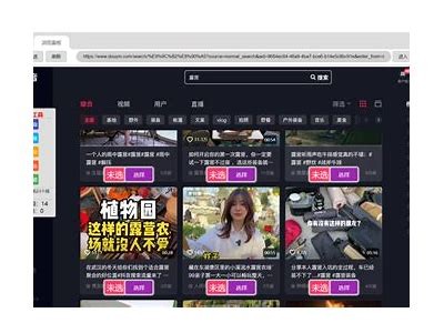 抖音热门视频下载工具：轻松获取精彩内容
