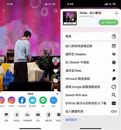 抖音视频下载方法详解：轻松获取苹果手机上的精彩短视频