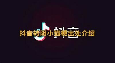 如何有效应对抖音转阴视频的影响与应对策略解析