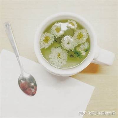 清秋暖冬：阳光穿透雾霭，享受季节交替的美好时光